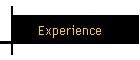 Experience