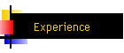 Experience