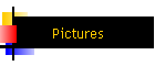 Pictures
